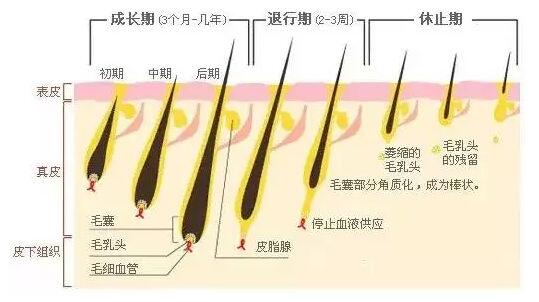 天津美萊做激光脫毛的價格高嗎