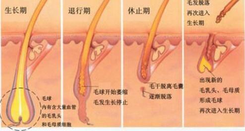 脫腿毛