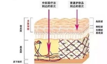 才是SK2+HR+Lamer組成的王炸！