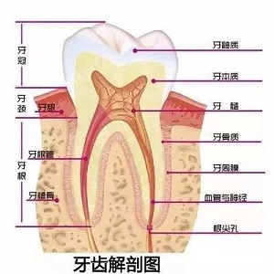 問診室：為什么我的牙卻永遠(yuǎn)也刷不白？