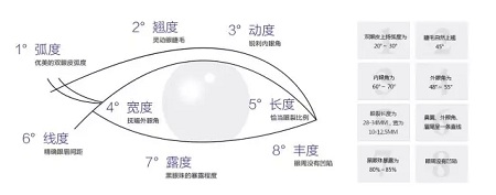 美眼張誠坐診美萊，淺談為什么你的眼睛不夠美？