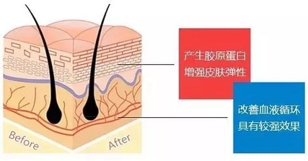 關于*雕，你想了解的都在這里！